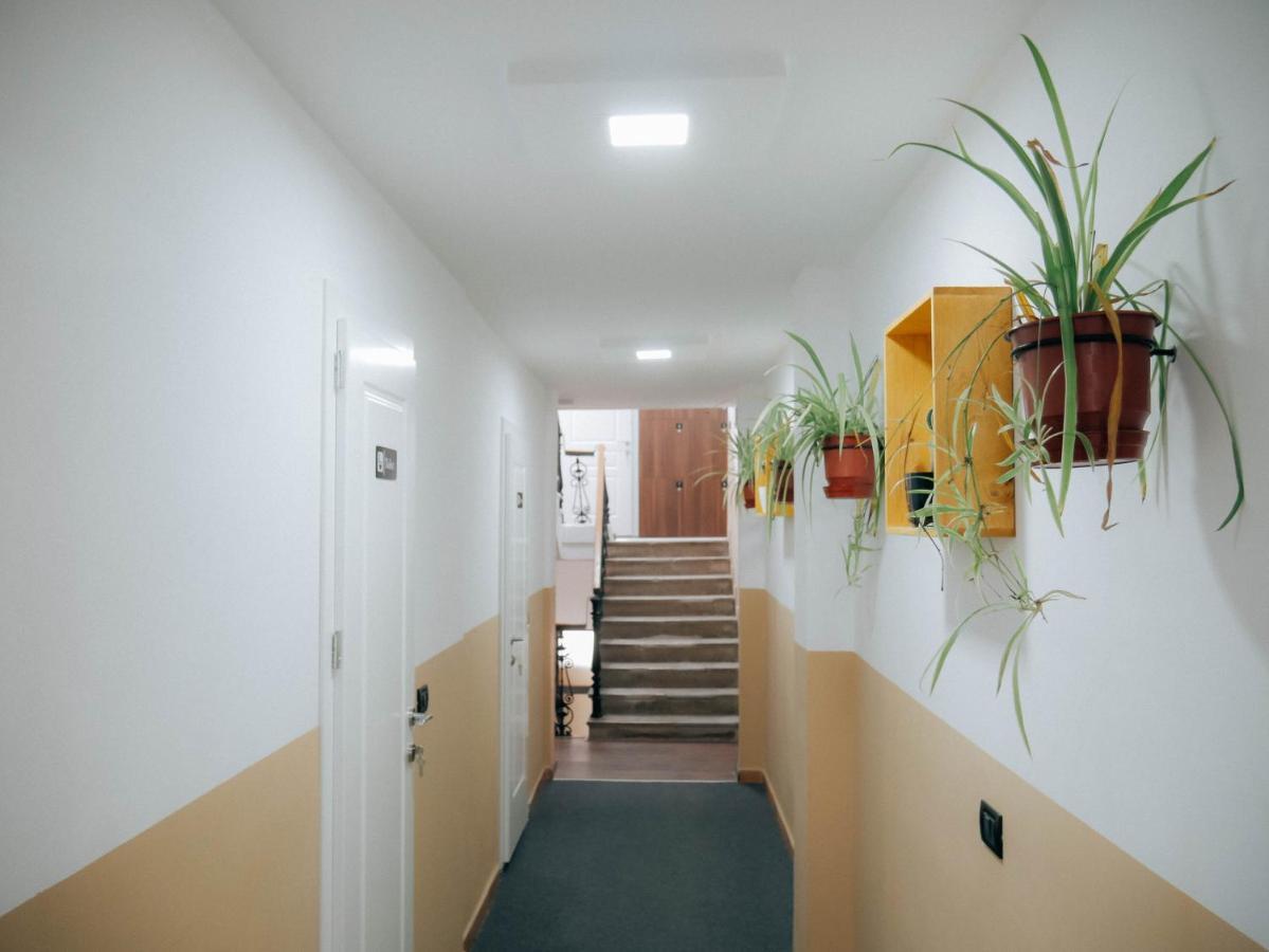 The Maze Hostel 티라나 외부 사진