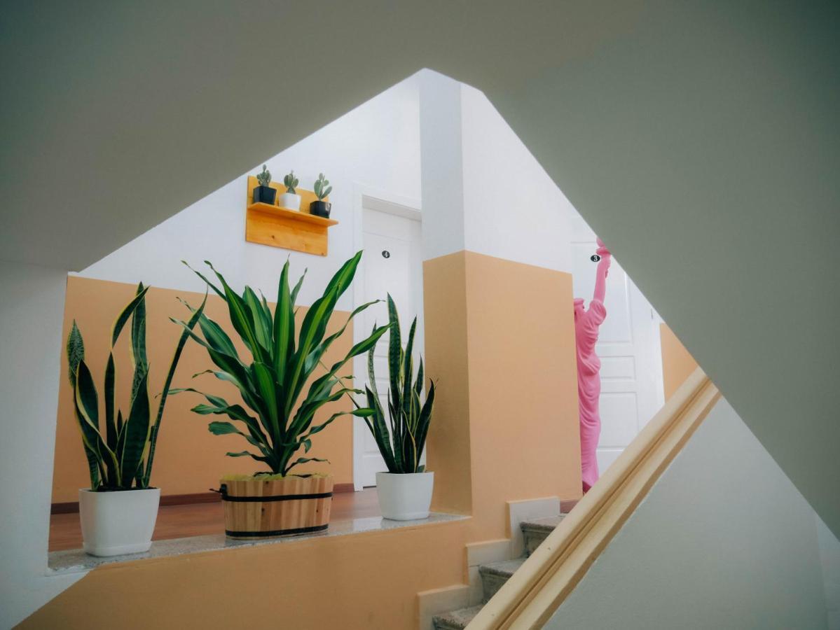 The Maze Hostel 티라나 외부 사진