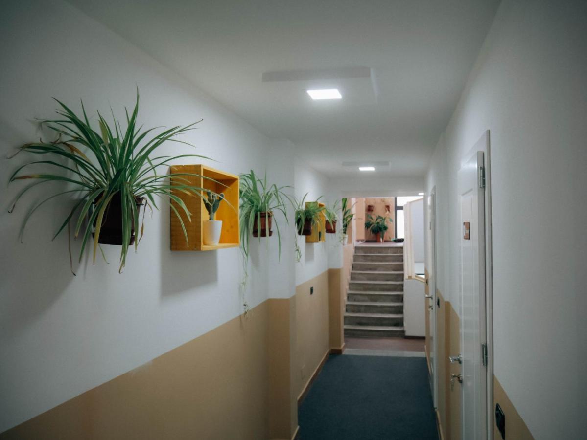 The Maze Hostel 티라나 외부 사진