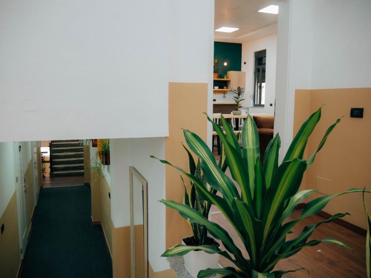 The Maze Hostel 티라나 외부 사진